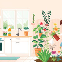 Unleashing the Power of Borax: The Ultimate Guide to Effective Treatment for Home and Garden