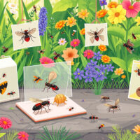 Ultimate Guide to Sticky Traps: Your Essential Pest Control Solution!