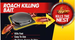 Defeat Roaches Fast: Combat Max Bait Review & Recommendations