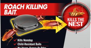 Say Goodbye to Roaches: Combat Roach Killing Bait Review!