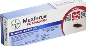 Bayer Maxforce FC Magnum: The Ultimate Roach Killer Review!