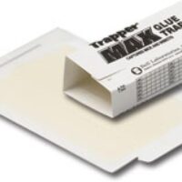 Catch Pests Safely: Review of Non-Toxic Glue Traps for Mice, Insects, and More!