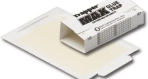 Catch Pests Safely: Review of Non-Toxic Glue Traps for Mice, Insects, and More!