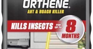 Conquer Pests with Ortho Orthene: The Ultimate Ant and Roach Killer Review