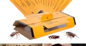 Effective Indoor Defense: Review of 18 Pack Roach Traps for Cockroach Control