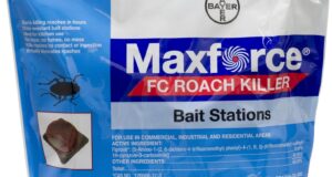 Effective Roach Control: Bayer Maxforce FC Bait Stations Reviewed