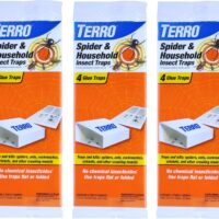 Keep Pests at Bay: A Review of TERRO Non-Toxic Indoor Insect Traps