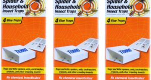 Keep Pests at Bay: A Review of TERRO Non-Toxic Indoor Insect Traps