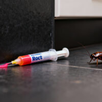 Effective Roach Control Gel Tips to Eliminate Cockroach Infestations Fast