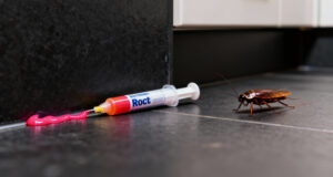 Effective Roach Control Gel Tips to Eliminate Cockroach Infestations Fast