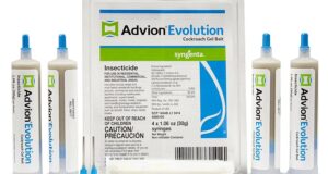 Say Goodbye to Cockroaches: Advion Evolution Gel Bait Review