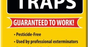 Say Goodbye to Roaches: Harris Non-Toxic Glue Traps Reviewed!