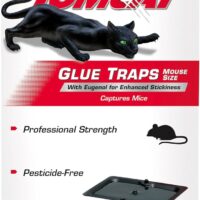 Ultimate Pest Control: Tomcat Glue Traps Review for Mice, Roaches, and Spiders