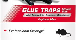 Ultimate Pest Control: Tomcat Glue Traps Review for Mice, Roaches, and Spiders