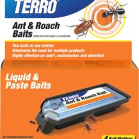Unbeatable Defense: Terro T360 Ant & Roach Bait Review for a Pest-Free Home