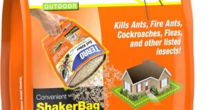 Crush Pests with TERRO: Your Go-To Ant Killer Plus Review!