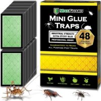 Effective Pest Control: MaxGuard Mini Glue Traps Review