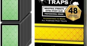 Effective Pest Control: MaxGuard Mini Glue Traps Review