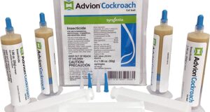 Eliminate Cockroaches with Advion: The Ultimate Gel Bait Solution!