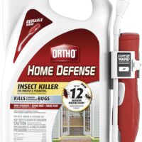 Eliminate Household Pests: A Review of Ortho Home Defense Insect Killer