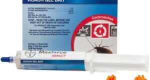 Eliminate Roaches with Confidence: MaxForce Impact Roach Gel Bait Review