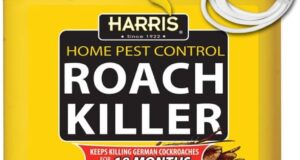 Harris Roach Killer: The Ultimate Odorless Solution for Year-Long Pest Control