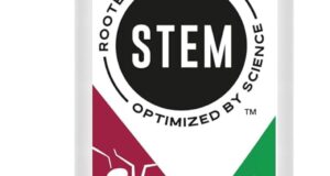 Natural Defense: Review of STEM Bug Spray for Ants, Roaches & Flies