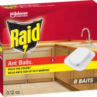 Say Goodbye to Ants: A Review of Raid Ant Killer Baits