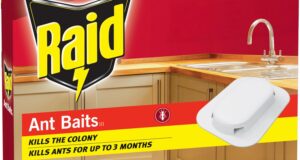 Say Goodbye to Ants: A Review of Raid Ant Killer Baits