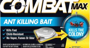 Say Goodbye to Ants: Combat Max Ant Killing Bait Stations Review
