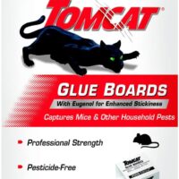 Say Goodbye to Pests: Comprehensive Review of Tomcat Glue Boards for Mice and Insects