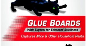Say Goodbye to Pests: Comprehensive Review of Tomcat Glue Boards for Mice and Insects
