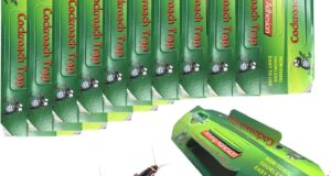 Ultimate Bug Buster: Review of the Non-Toxic Cockroach Trap