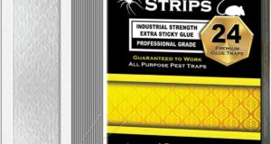 Ultimate Insect Defense: Review of MaxGuard Glue Trap Strips