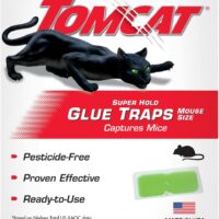 Ultimate Review: Tomcat Super Hold Glue Traps for Effective Pest Control