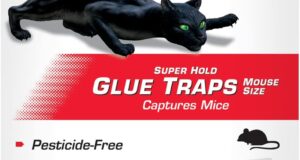 Ultimate Review: Tomcat Super Hold Glue Traps for Effective Pest Control