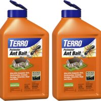 Conquer Outdoor Pests: TERRO T2600 Ant Bait Review