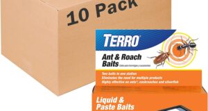 Effective Pest Control: A Review of Terro T360 Ant & Roach Baits