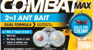 Eliminate Ants Effectively: Combat Max 2 in 1 Ant Bait Station Review