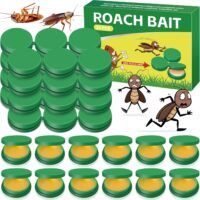 Escape the Infestation: Reviews of the Best Roach Bait Gel for Permanent Pest Control