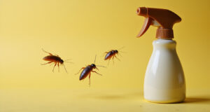 Effective Roach Control Spray Solutions to Eliminate Infestations Quickly