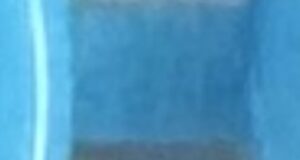 Ultimate Guide to Roach Repellents: Top Picks & Honest Reviews!