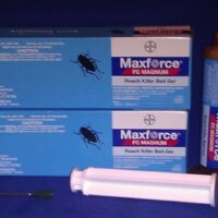 Ultimate Roach Control: Maxforce FC Magnum Gel Review