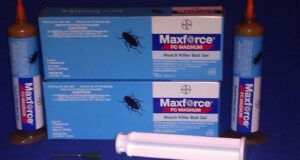 Ultimate Roach Control: Maxforce FC Magnum Gel Review