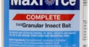 Conquer Pests: A Review of Bayer Maxforce Complete for Your Home