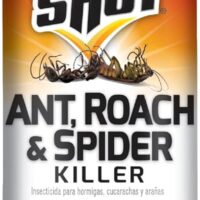 Conquer Pests Instantly: Hot Shot Ant, Roach & Spider Killer Review