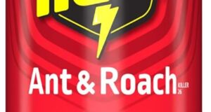 Conquer Pests with Raid Ant & Roach Killer: Long-Lasting Fresh Scent!