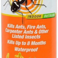 Conquer Pests with TERRO Ant Dust Powder: Ultimate Review and Recommendations!