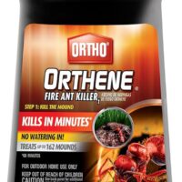 Defeat Fire Ants Fast: A Review of Ortho Orthene Fire Ant Killer