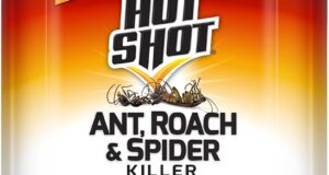 Effective Pest Control: Hot Shot Ant, Roach & Spider Killer Review